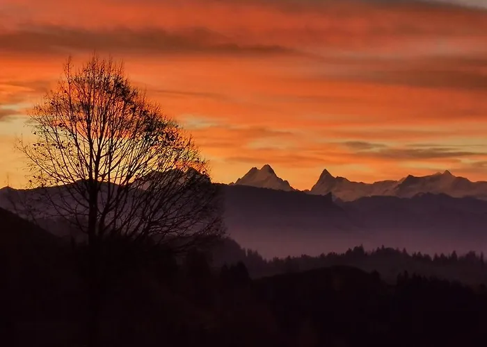 Baernsicht Panorama Hotel